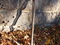 Anchor
